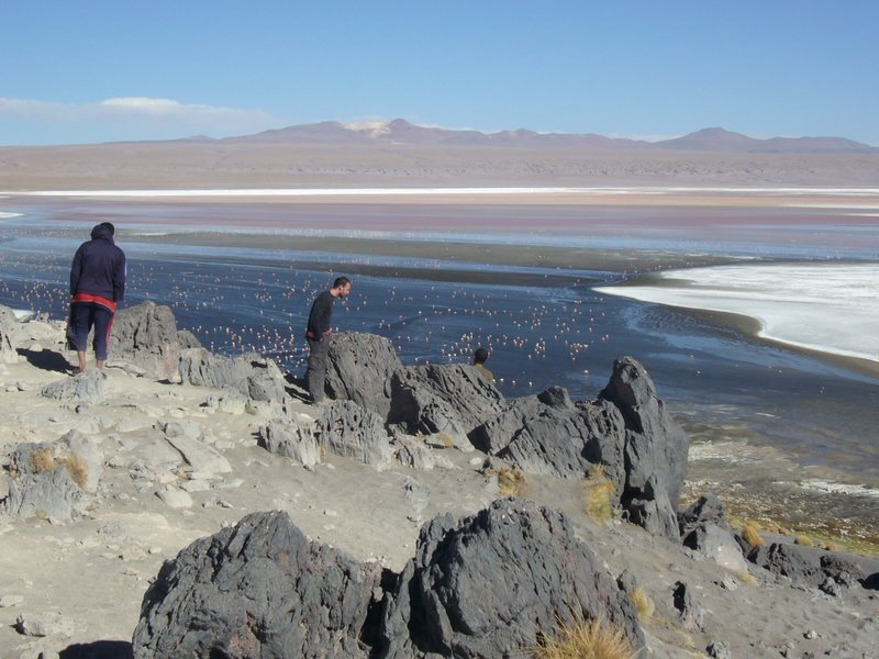 Travel - Bolivia - Salar De Uyuni - Laguna 4